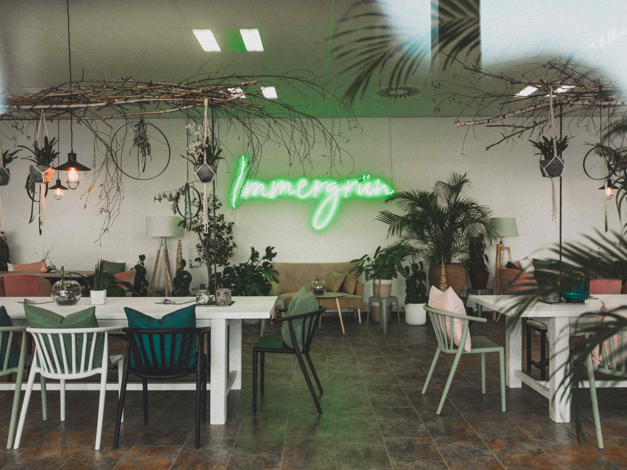 Kaffee & Bistro Immergrün am Ökopark Hartberg