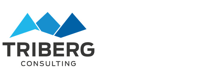 triberg-consulting